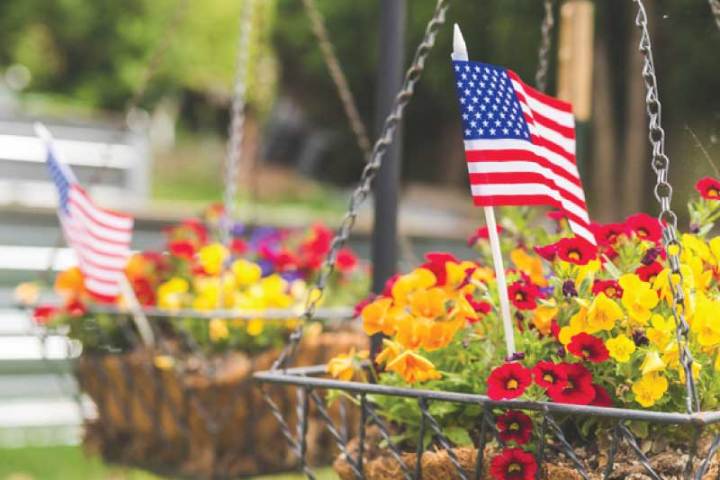 a group of colorful flowers