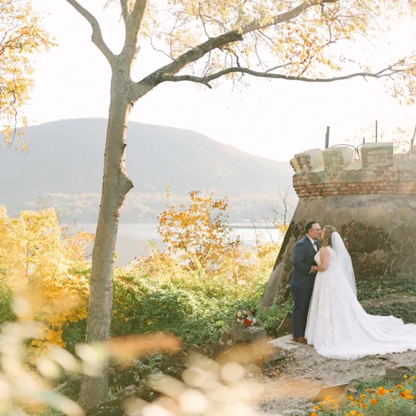 a person sitting in a tree