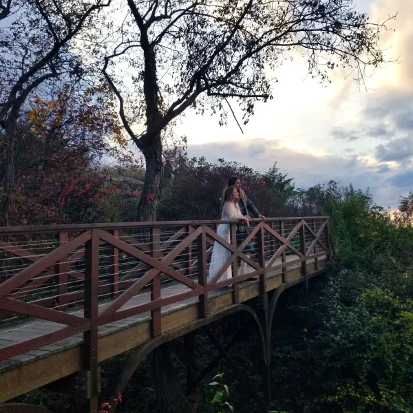 a bridge over a river in a forest