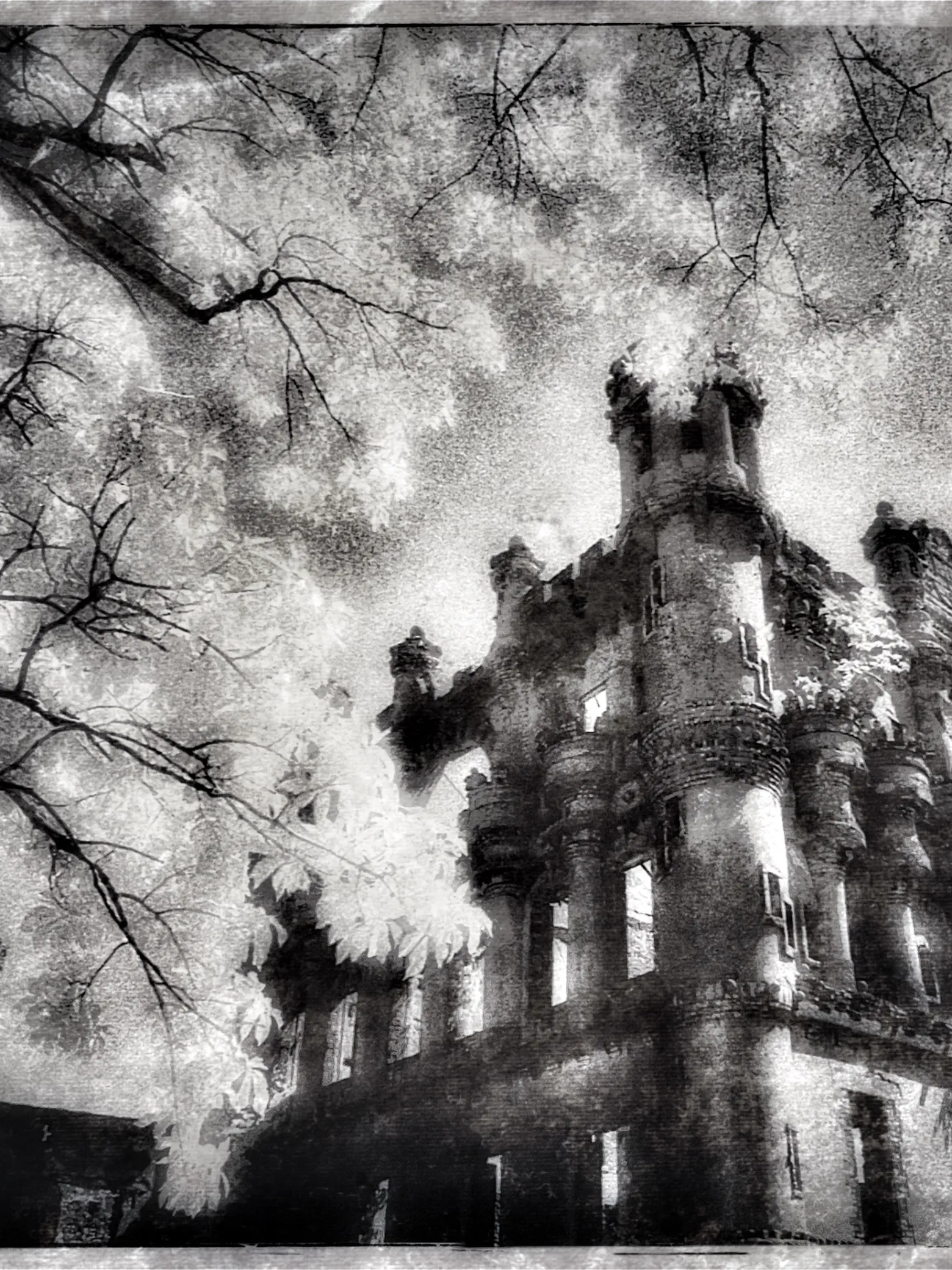 Black and white image of a gothic castle with branches and leaves in the foreground.
